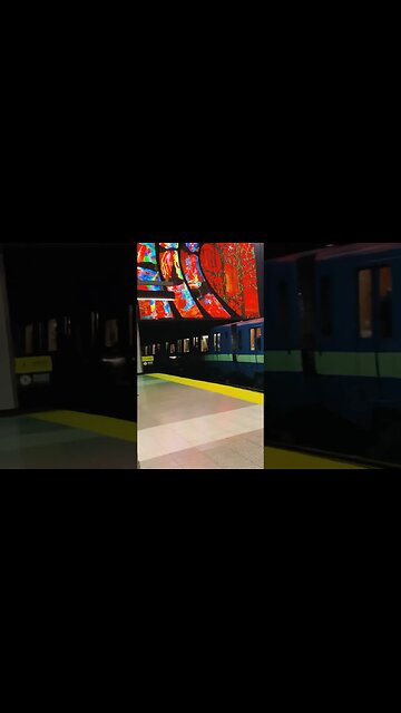 Artistic beri Uqam metro #viralvideo #montreal