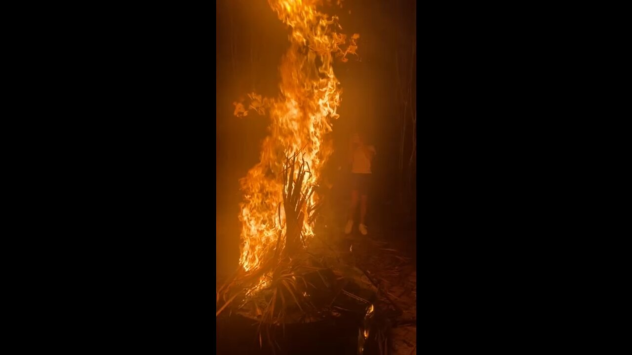 The singing fire🤣🤣