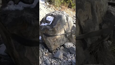 Toyota Tacoma Super Stuck! 🐢🌮