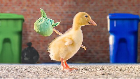 The Runaway Duckling