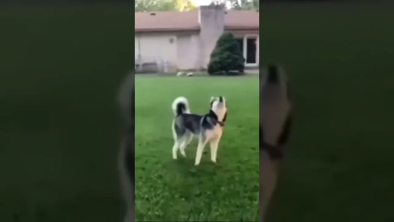 #elonmusk #one #way 2 #mars 🚀 no #tesla needed