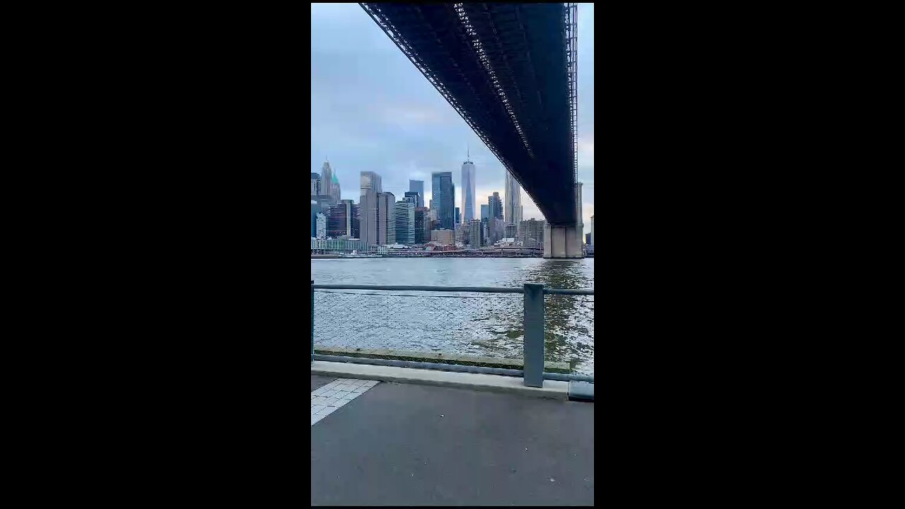 Strolling New York City, The Famous Brooklyn Bridge💮❤️🇺🇸 #shorts #viralshorts #trendingshorts