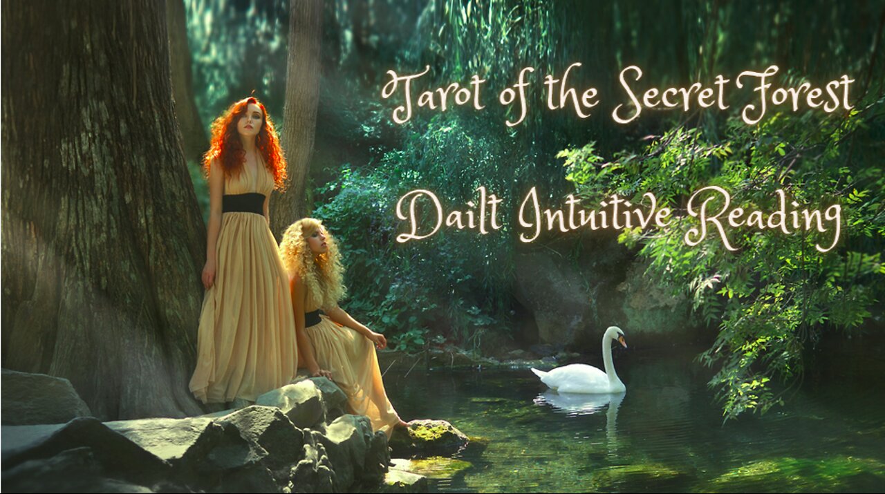 Tarot of the Secret Forest ~ Daily Intuitive Reading