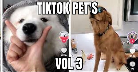 TIKTOK PET'S VOL 4