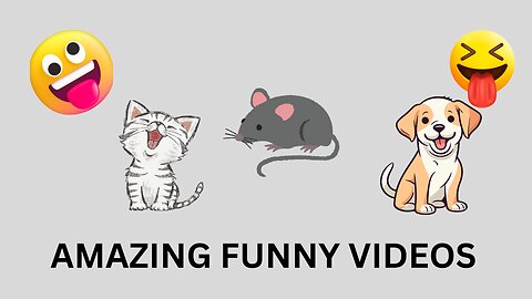 ANIMAL FUNNY VIDEO 2024!