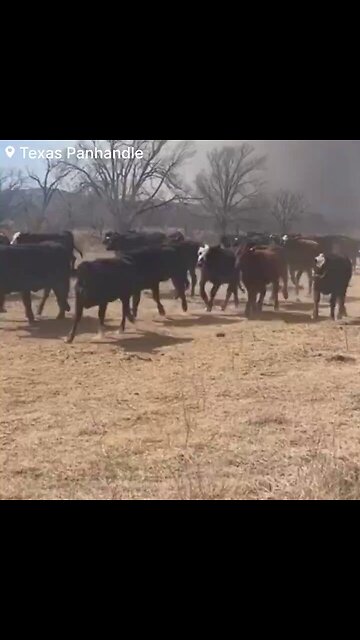 Emergency sirens are blaring as people are being evacuated Texas