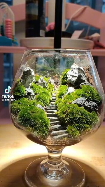 Tiktok idea ❤️❤️