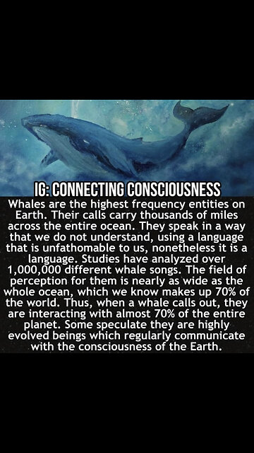 Whales & dolphins are dying due to sonar / high frequency weaponry worldwide