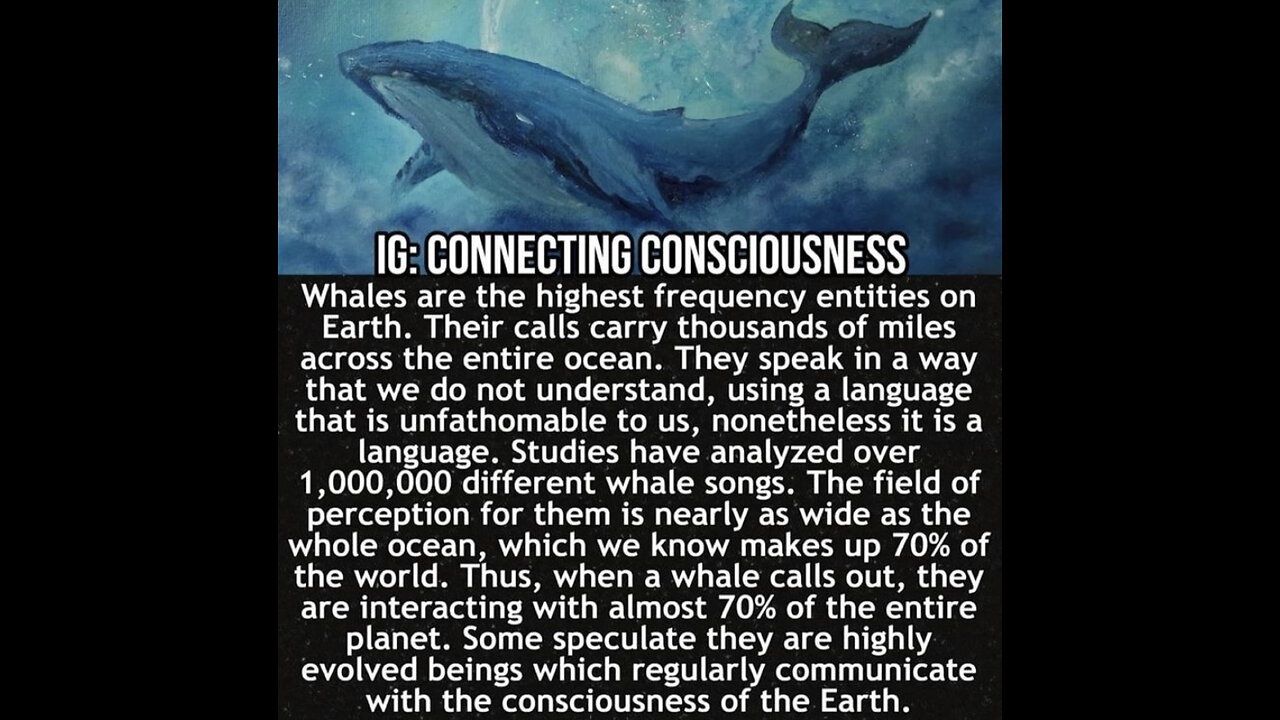 Whales & dolphins are dying due to sonar / high frequency weaponry worldwide