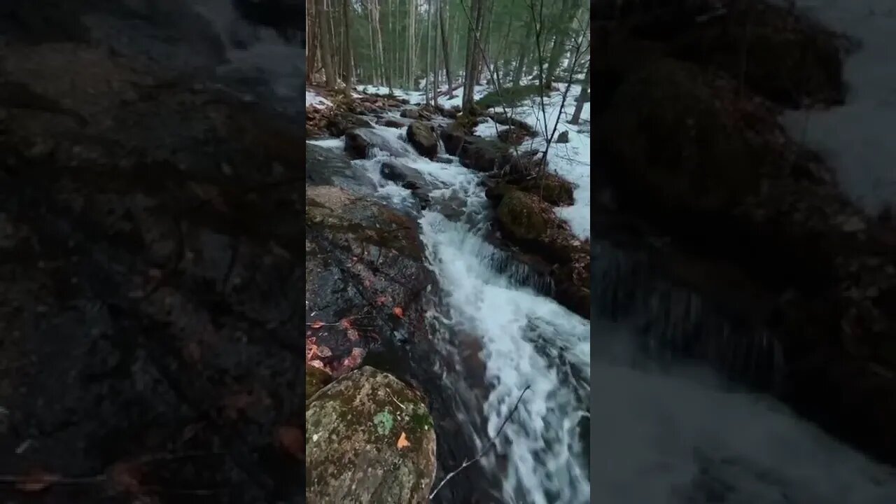 nature#rivers#wild#shorts