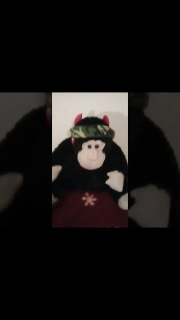 "Devil Monkey on your tail"