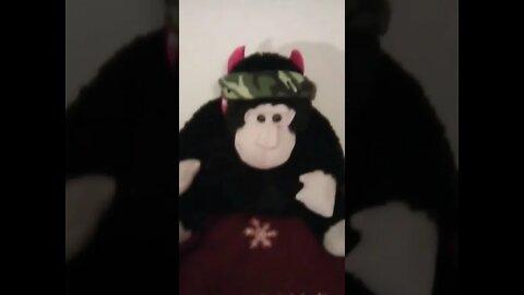 "Devil Monkey on your tail"