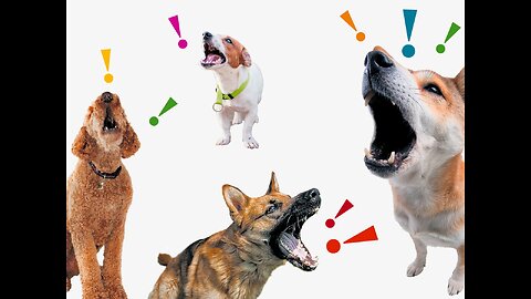 Dogs barking loud compilation