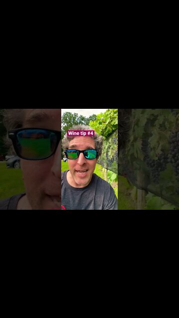 Wine Tip #4 Get to the Vineyard #shorts