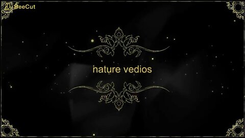 nature vedio2