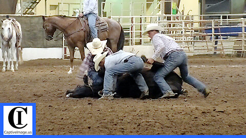 Stray Gathering - 2021 Ben Johnson Days Rodeo | Friday