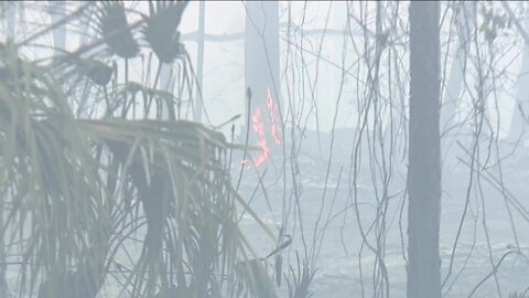 Naples brush fire continues to burn