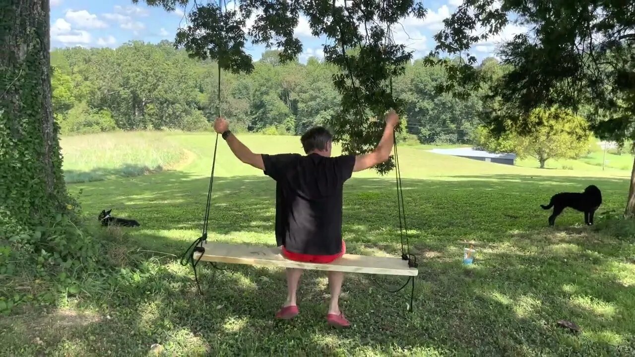 Every Homestead Needs A Tree Swing 🌳