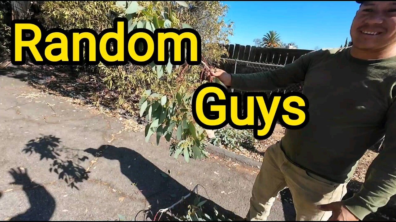 Random Guys