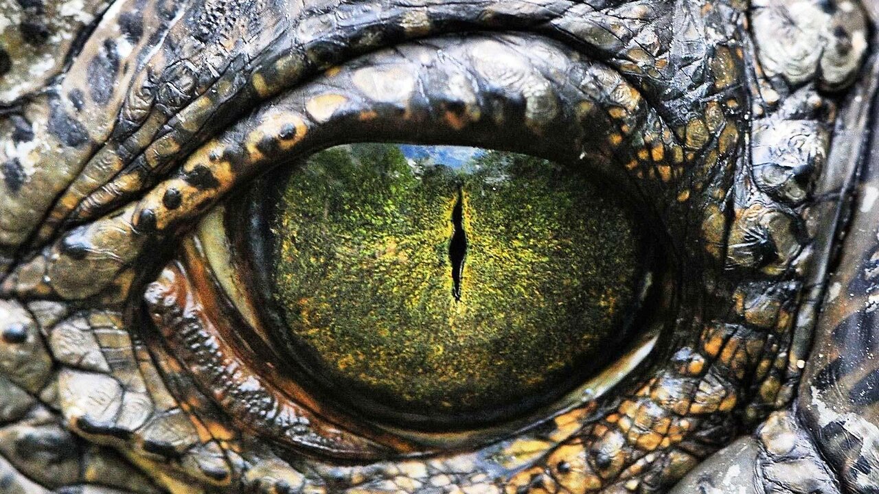 WATCH! Reptilians Will Bring Biblical END TIMES Full Documentary