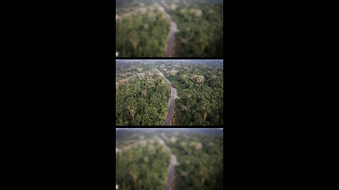 Flying over a tropical rainforest in the Philippines 🇵🇭