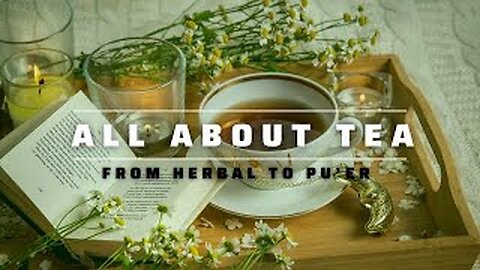 What are the Different Types of Tea?