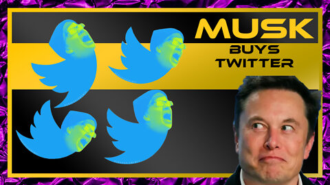 Blavasi & Genie | Musk Buys Twitter