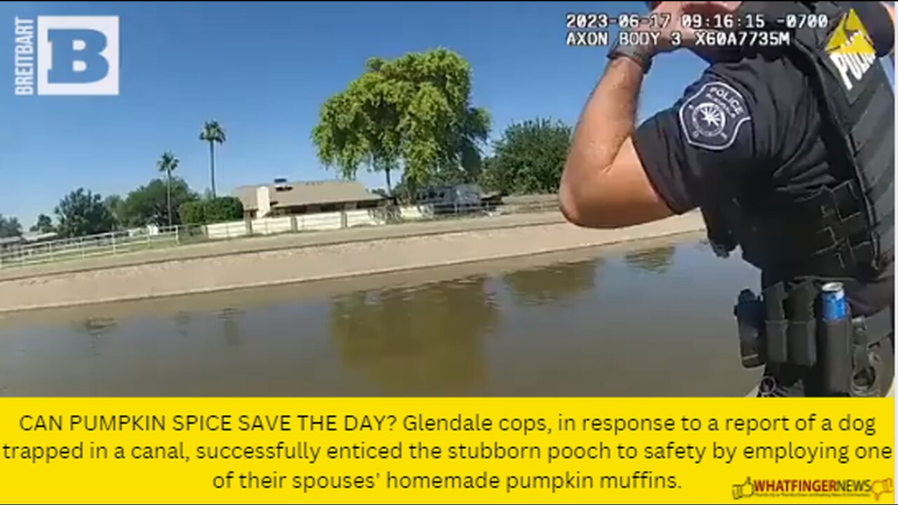 CAN PUMPKIN SPICE SAVE THE DAY? Glendale cops, in response to a report of a dog