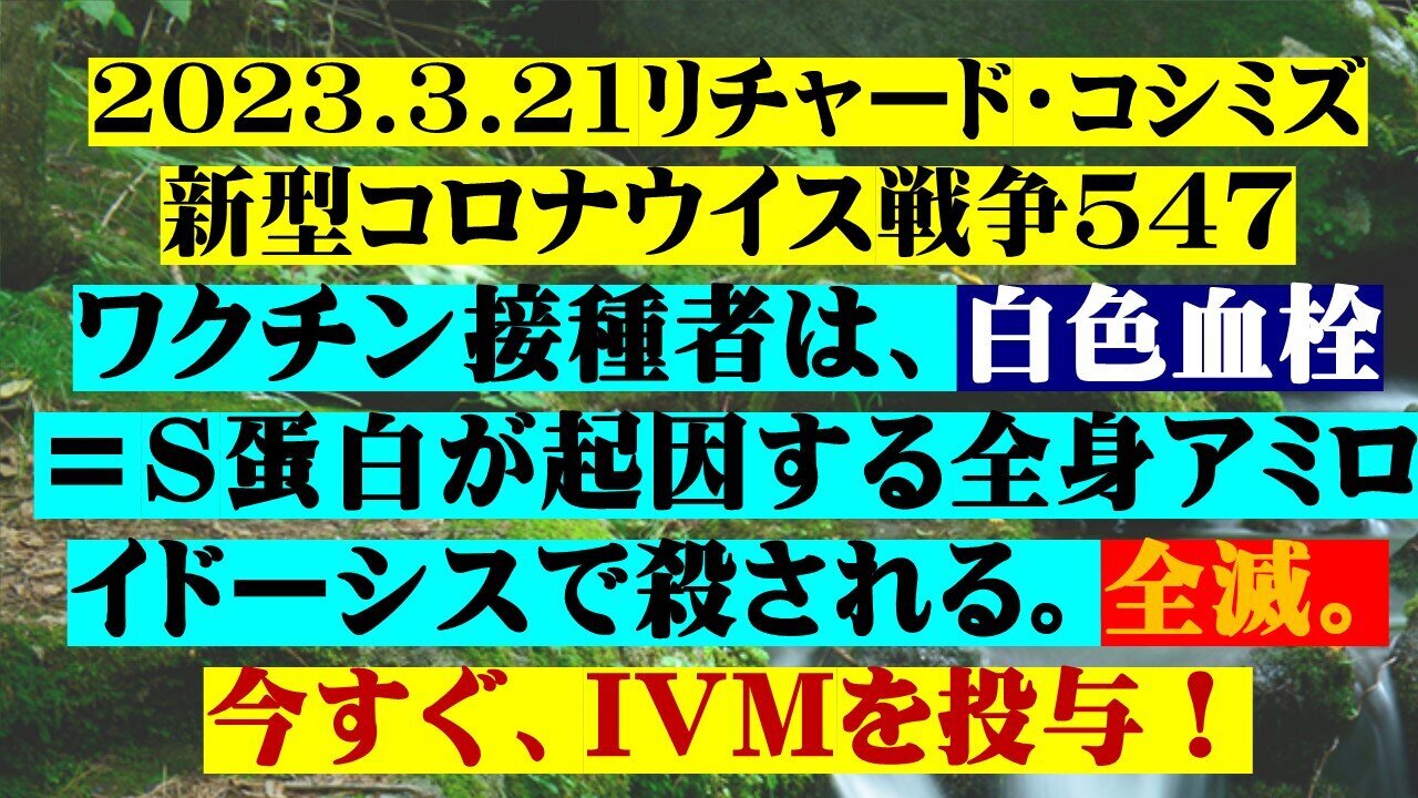 2023.03.21 リチャード・コシミズ新型コロナウイルス戦争547