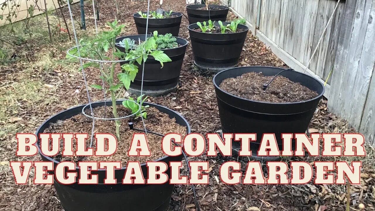 Container gardening. Grow your own vegetables with this simple set up