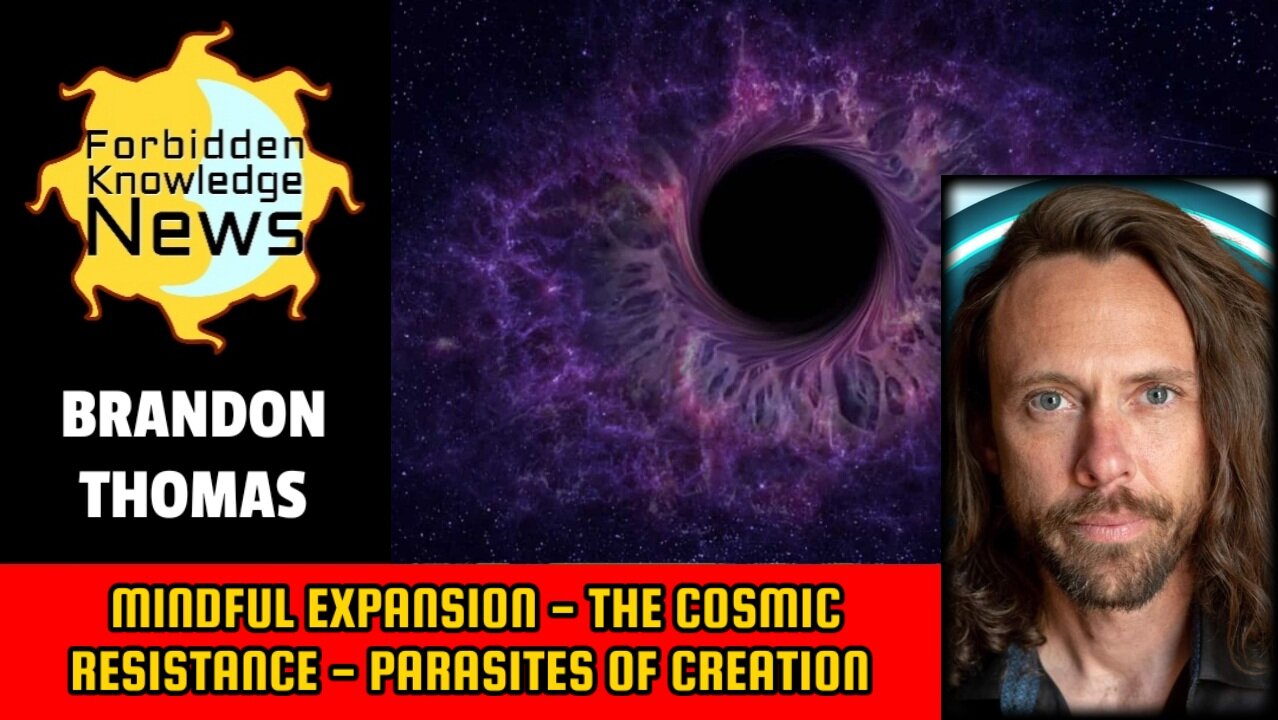 Mindful Expansion - The Cosmic Resistance - Parasites of Creation | Brandon Thomas