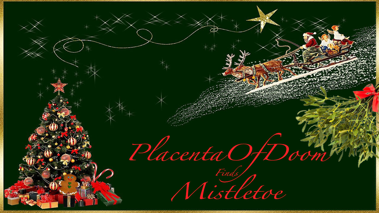 PlacentaOfDoom Finds Mistletoe