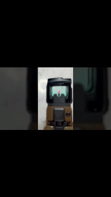 Sig Sauer M17 with Steiner MPS and Black Samurai