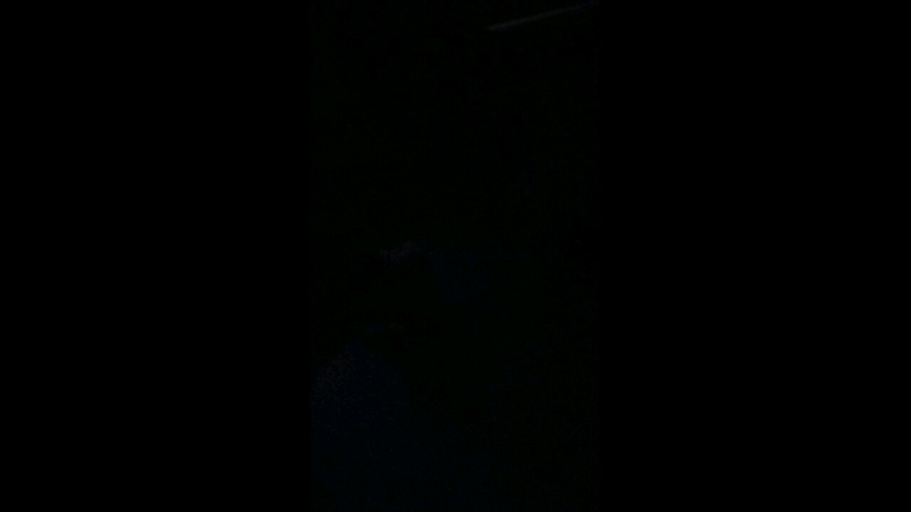 TRW 100 💯 push-ups for review copy