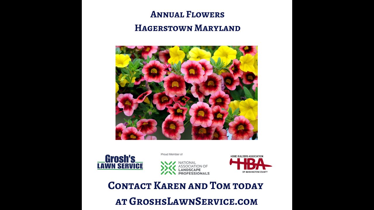 Landscaping Hagerstown Maryland Annual Flowers Video