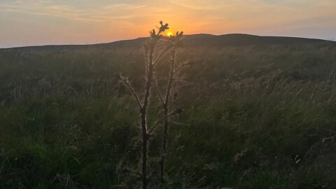 Baddinsgill - Lamb Rig - Cairn Muir