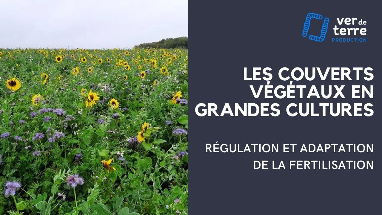 La Galerie du VDT - 6/7 - Les couvert végétaux : Régulation et adaptation de la fertilisation