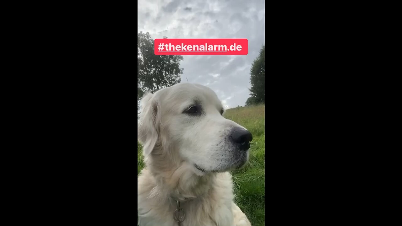 SCHNELLES GELD
