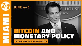 Bitcoin and Monetary Policy | Anthony Scaramucci | Bitcoin Magazine Clips