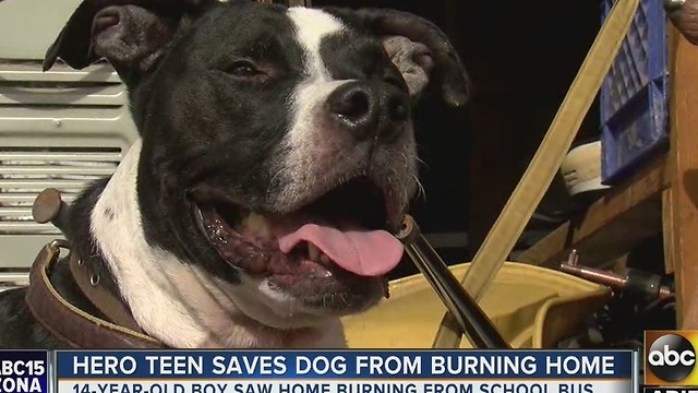 Teen risks it all to save his dog in Phoenix