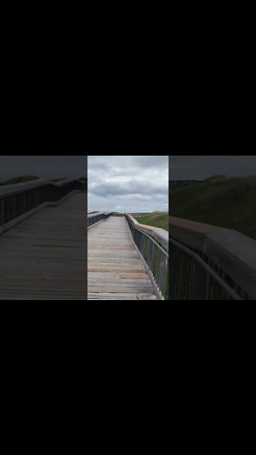 Walking the Boardwalk to Brackley Beach