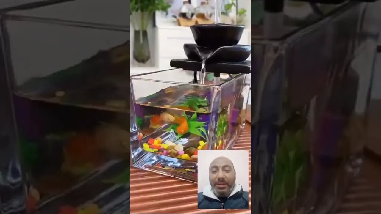 شاهد جمال حوض السمك || ولا أروع || #shorts ♥️