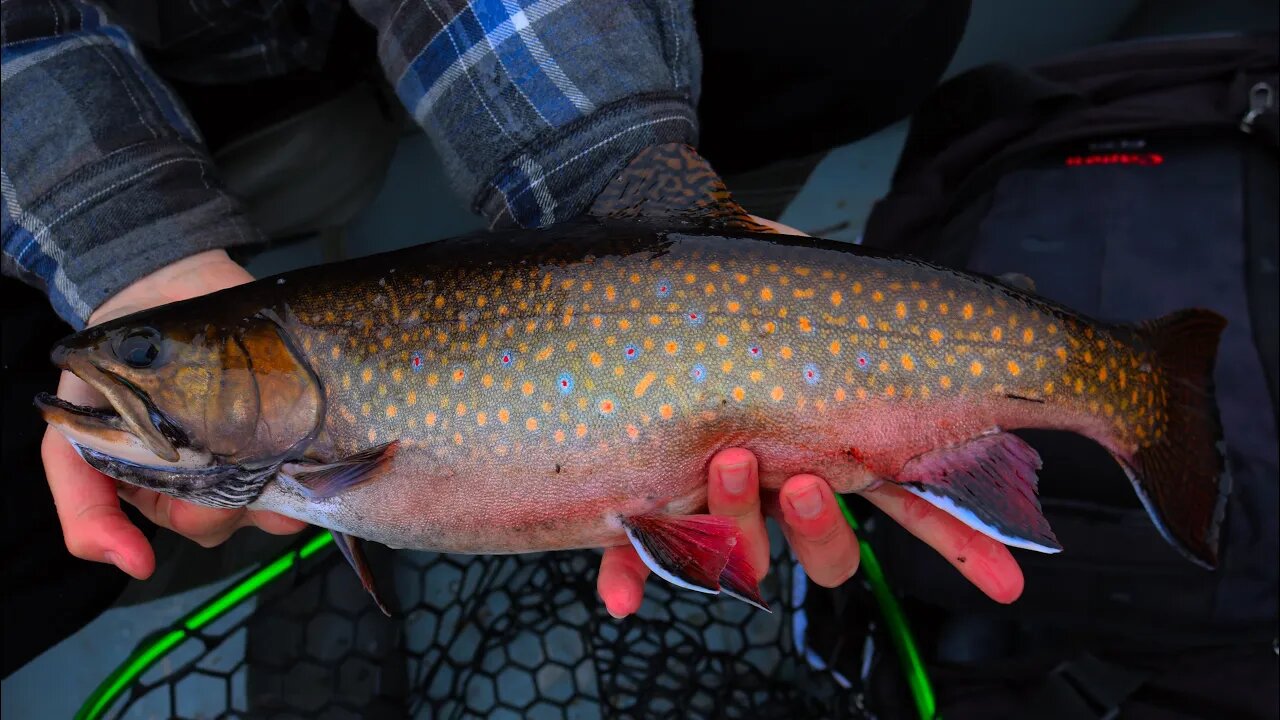 CATCHING GIANT BROOK TROUT! | Northern Ontario Trout Fishing