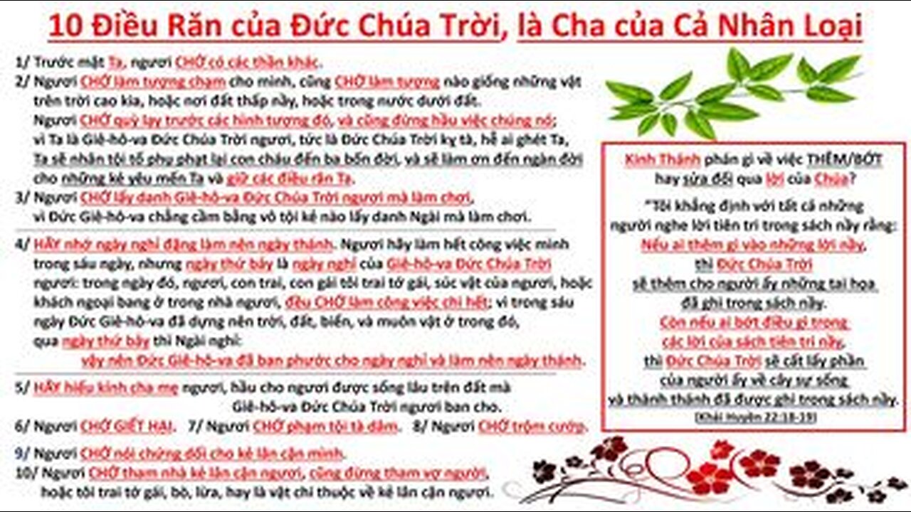 #28 - ĐỀ TÀI ĐẶC BIỆT