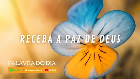 Receba a paz de Deus em seu coração - Mensagem de Deus 04 de Agosto 2020