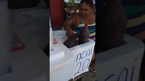 AÇAÍ DA REGIÃO