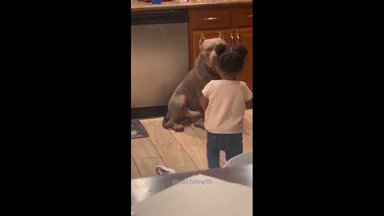kids good friends are dogs kids love animals 🐕🦺❤️🔥