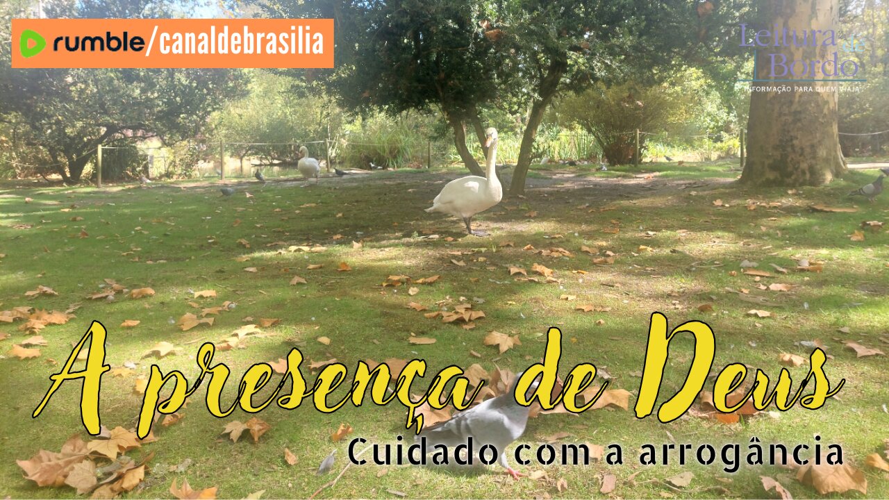A presença de Deus LXII - Cuidado com a arrogância