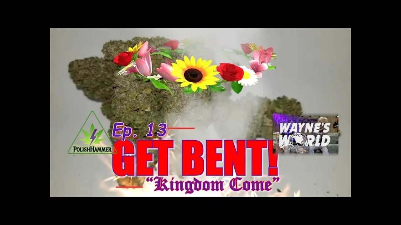 GET BENT! Ep.13 "Kingdom Come" #SOUTHBAYGENETICS #SPIDERFARMER #ROYALKUSH7BX2 🔍👸👑🍍💨🔨 Final results!