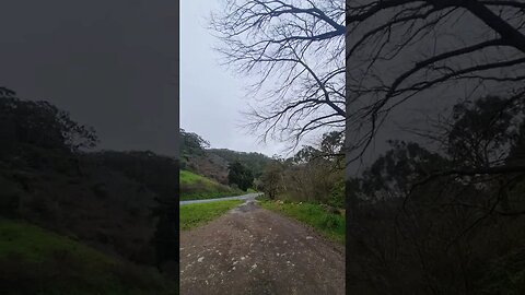 through the hills #nature